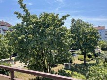 Blick vom Balkon 3 ZKB, Balkon inklusive TG-Stellplatz nahe Lech zu verkaufen